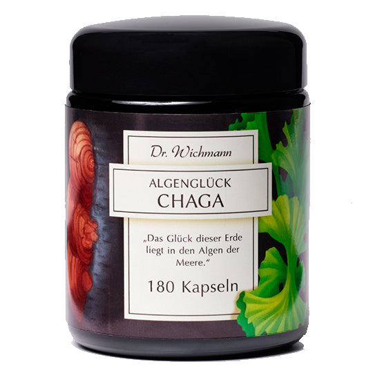 Algenglück Chaga